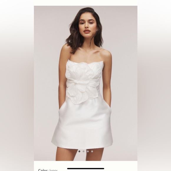 Watters Dresses & Skirts - WATTERS Brie dress